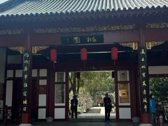 -南汇桃花村