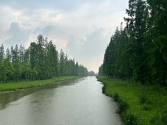 -黄海国家森林公园