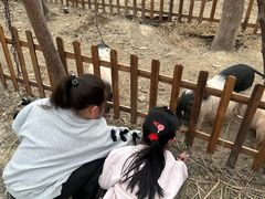 -河姆渡遗址博物馆