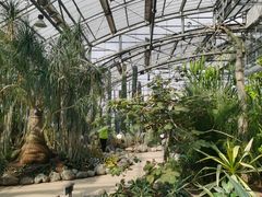 -南山植物园