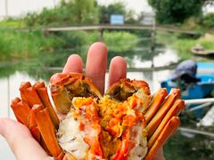 -欢乐蟹庄·精品农家乐(阳澄湖莲花岛店)