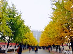 -辽宁大学(崇山校区)
