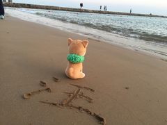 -青岛第二海水浴场