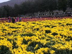 android_upload_pic-乌龙峡谷景区