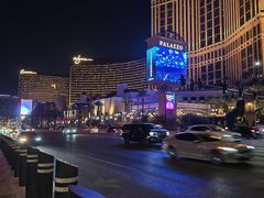 -拉斯维加斯永利酒店