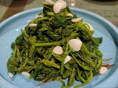 桑叶芽拌杏仁-松针蔡记蒸饺(花园路店)