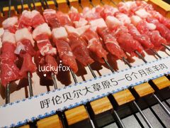 呼伦贝尔羊肉串-很久以前羊肉串(昌里路三钢里店)