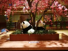 -大江户·温泉洗浴(浑南店)