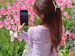 -苏州上方山国家森林公园