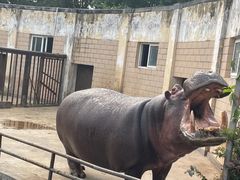 -合肥野生动物园