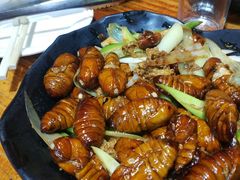 -丹东特色烤肉(学府路一部店)