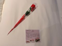 -张掖华辰国际大酒店