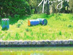 -上海滨江森林公园