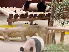 -杭州野生动物世界
