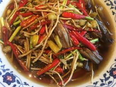 折耳根炒鳝鱼-厨道重庆菜馆(鸳鸯店)