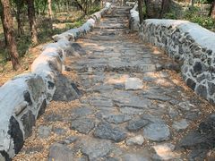 -阳台山自然风景区