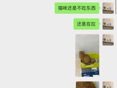 -瑞鹏宠物医院·夜间急症·心超·猫科(祖庙分店)