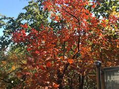 -长辛店二七公园