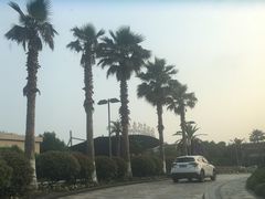 -宁波九龙湖开元度假村
