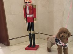 -上海崇明金茂凯悦酒店