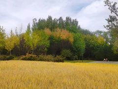 -北坞公园