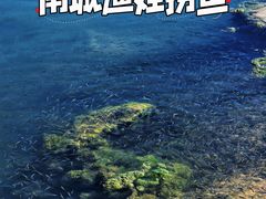 -石榴庄公园