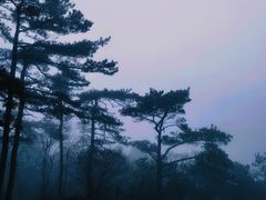 -庐山风景名胜区