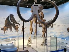 -辽宁古生物博物馆