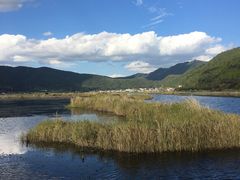 -腾冲北海湿地