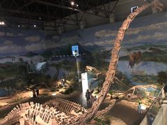 -自贡恐龙博物馆