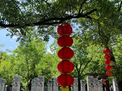 -大槐树寻根祭祖园