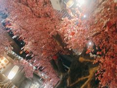 -寻钵记民菜馆·正宗常德钵子菜(滨湖路店)