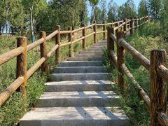 -白水寺森林公园