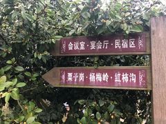 -天地生态农庄