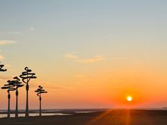 -东方华地城湿地温泉度假区