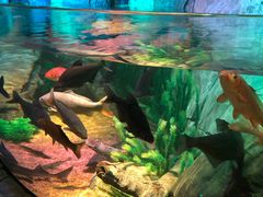 -沈阳海洋探索中心