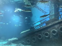 -福州罗源湾海洋世界旅游区