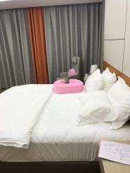 点击看大图 -爱帝宫月子中心(罗湖别墅院)