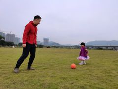 -光明小镇欢乐田园