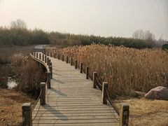 -淇河国家湿地公园