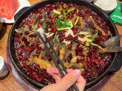 -老板恋上鱼(恒隆广场店)