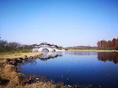 -上海海湾国家森林公园