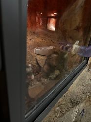 -酷嗒动物文化乐园(cutezoo西溪乐天城店)