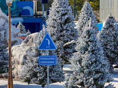 -汕头中海黄金海岸水上乐园