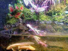 -多彩贵州城极地海洋世界