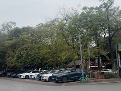 -三水森林公园