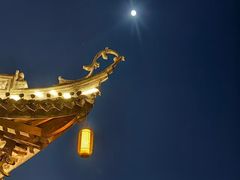 -尚贤河湿地