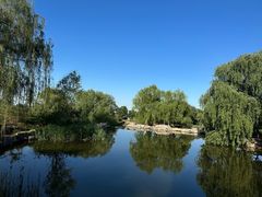 -北京西山国家森林公园