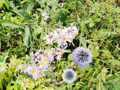 -白草畔自然风景区