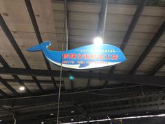 -三亚新鸿港水果一级批发市场